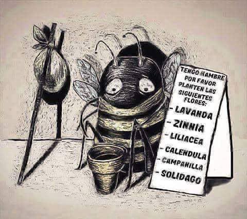 Enseñar a cuidar el medio ambientes es enseñar a cuidar la vida